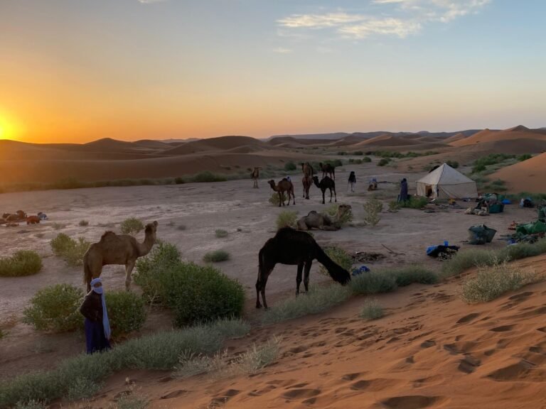 Voyage au Cœur du Sahara Marocain: Votre Guide Complet pour un Sahara Desert Tour Inoubliable