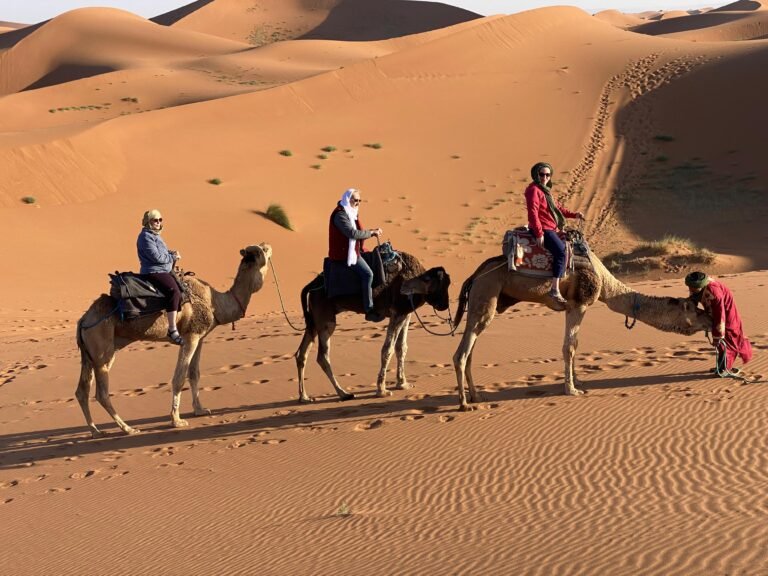 morocco traveller : Guide Complet pour une Aventure Inoubliable dans le Désert Marocain avec Le Cœur du Désert