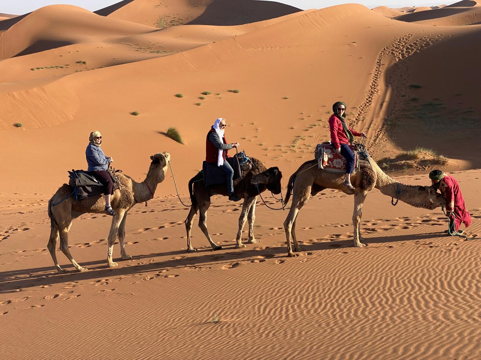 morocco traveller - Le Cœur du Désert